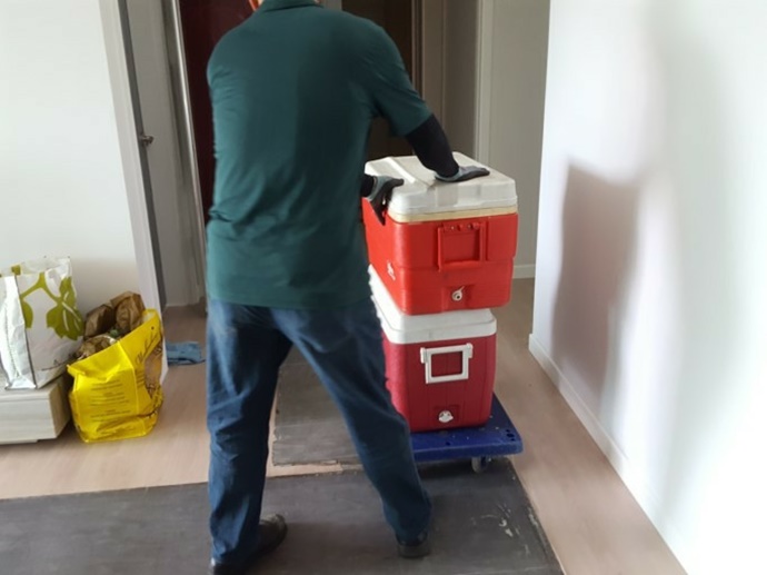 행복익스프레스 PC 이미지 917488